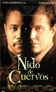 NIDO DE CUERVOS