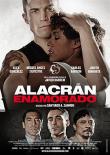 ALACRAN ENAMORADO