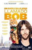 UN GATO CALLEJERO LLAMADO BOB